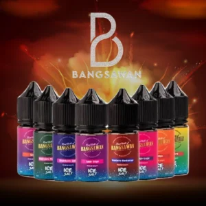 Bangsawan Saltnic