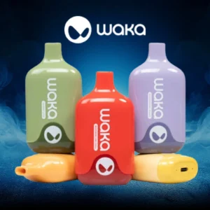 WAKA SMASH 6000 PUFFS