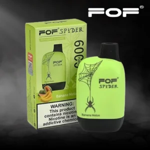 SPIDER 6000 PUFFS Banana Melon