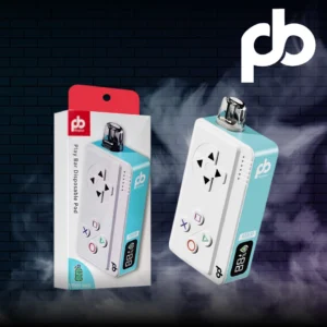 PLAYBAR 10000 PUFFS