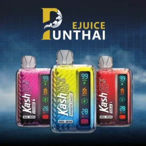 KASH 15000 PUFFS