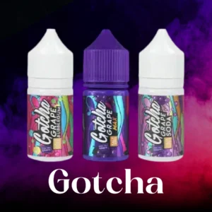 Gotcha Saltnic ฺBanner