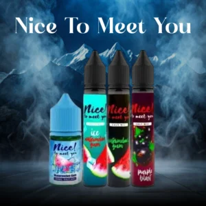 Banner Nice To Meet You Saltnic