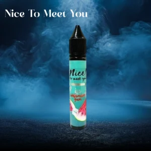 Nice To Meet You Salt nic Watermelon Gum
