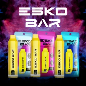 ESKO BAR 20000 PUFFS