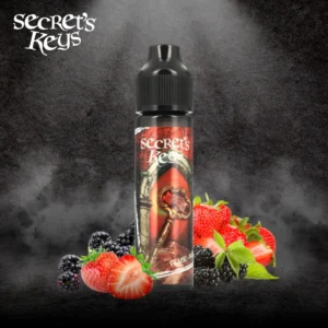 SECRET'S KEYS -Red Key