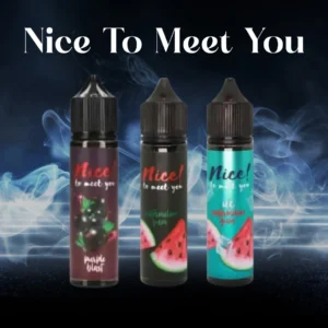 NICE TO MEET YOU FREEBASE
