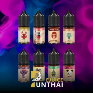 Punthai Saltnic