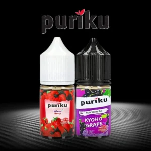 Puriku Saltnic